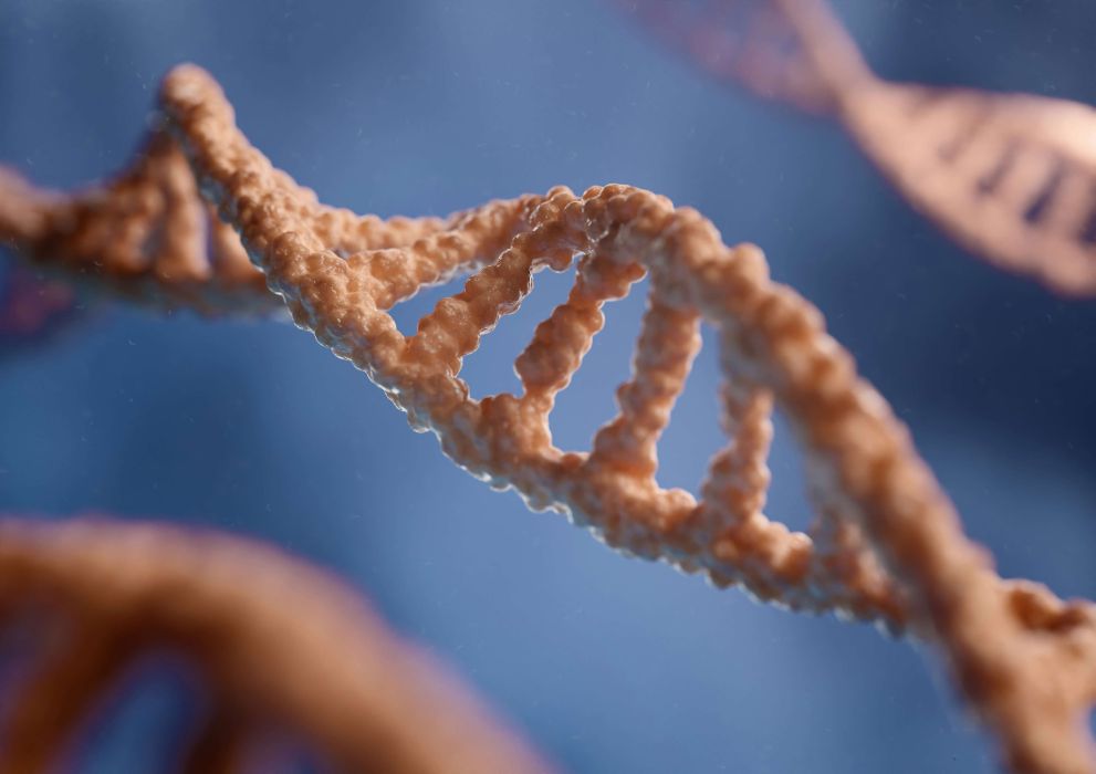 DNA Image Hongene CDMO Raw Material Supply Brief Intro Oligo Nucleic Acids (1)