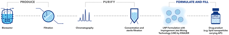 Process Overview