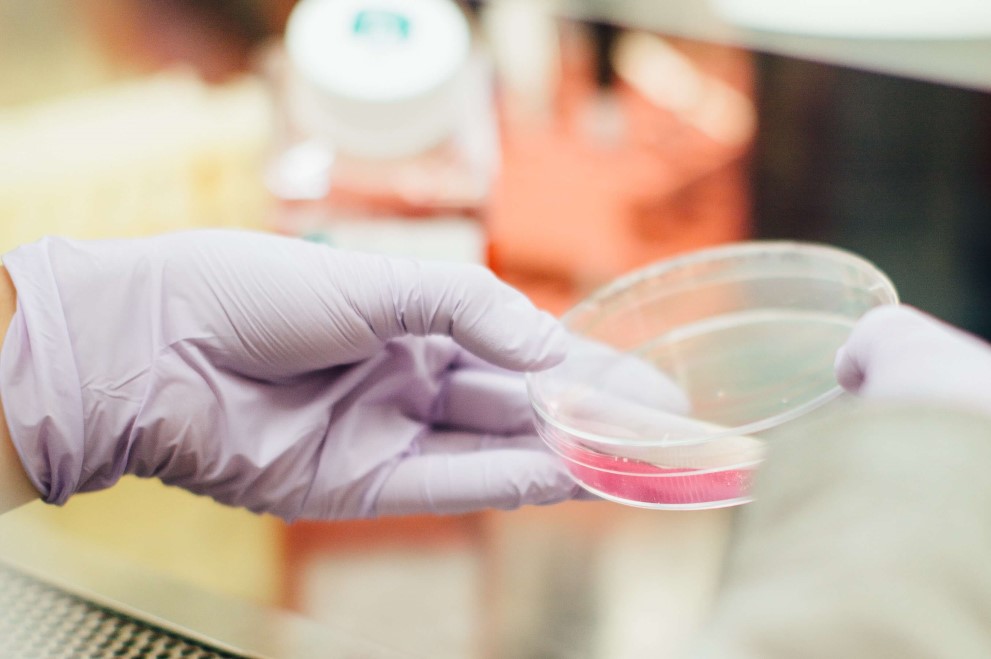 Our Products Mrna Synthesis